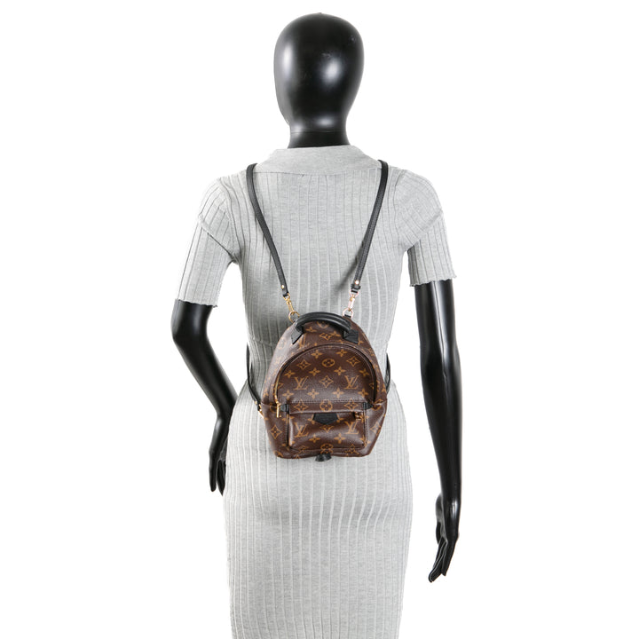 LOUIS VUITTON Palm Springs Mini-Rucksack