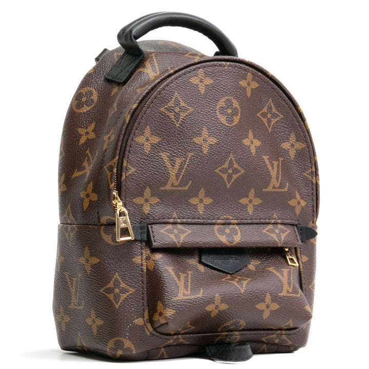 LOUIS VUITTON Palm Springs Mini-Rucksack