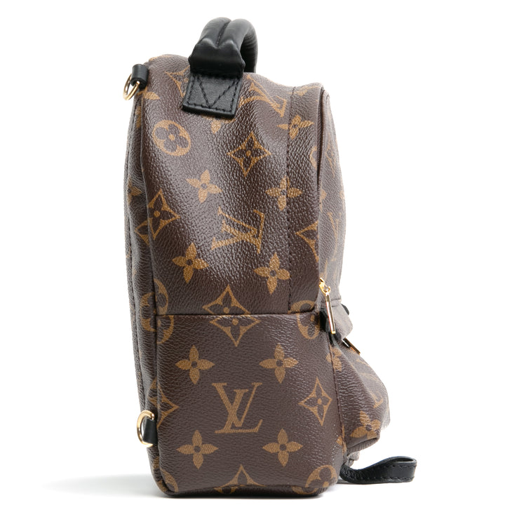 LOUIS VUITTON Palm Springs Mini-Rucksack