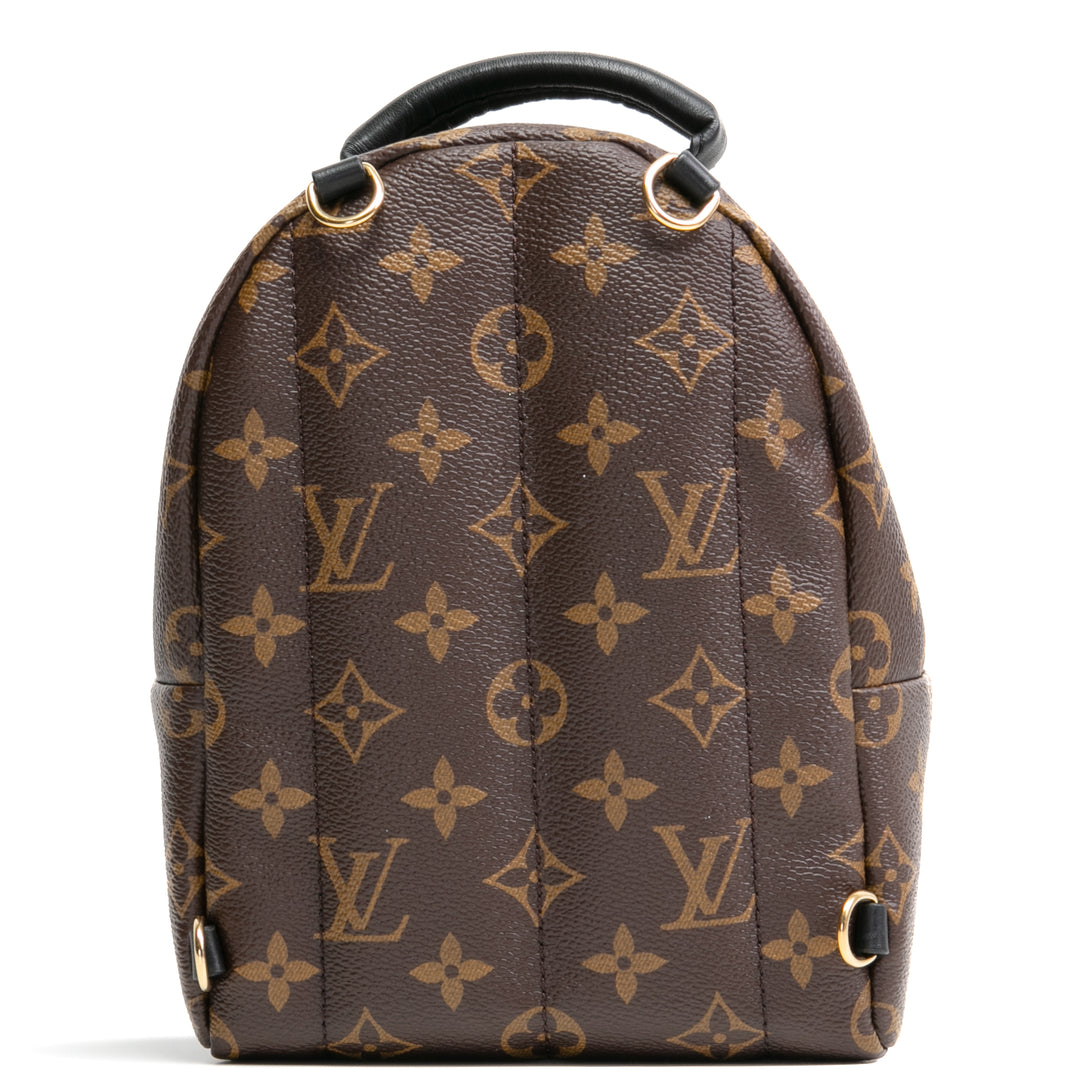 LOUIS VUITTON Palm Springs Mini-Rucksack