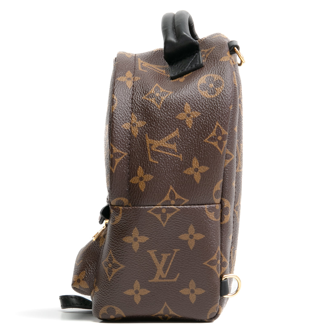 LOUIS VUITTON Palm Springs Mini-Rucksack