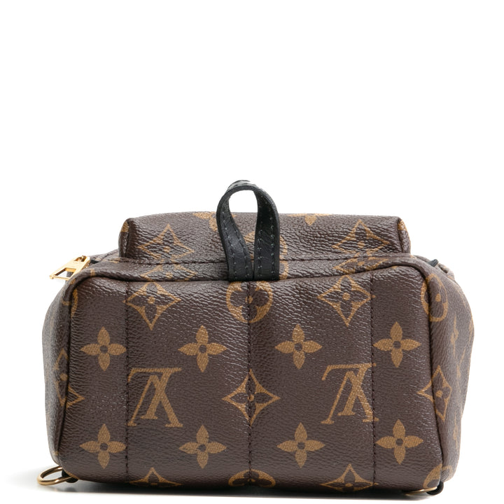 LOUIS VUITTON Palm Springs Mini-Rucksack